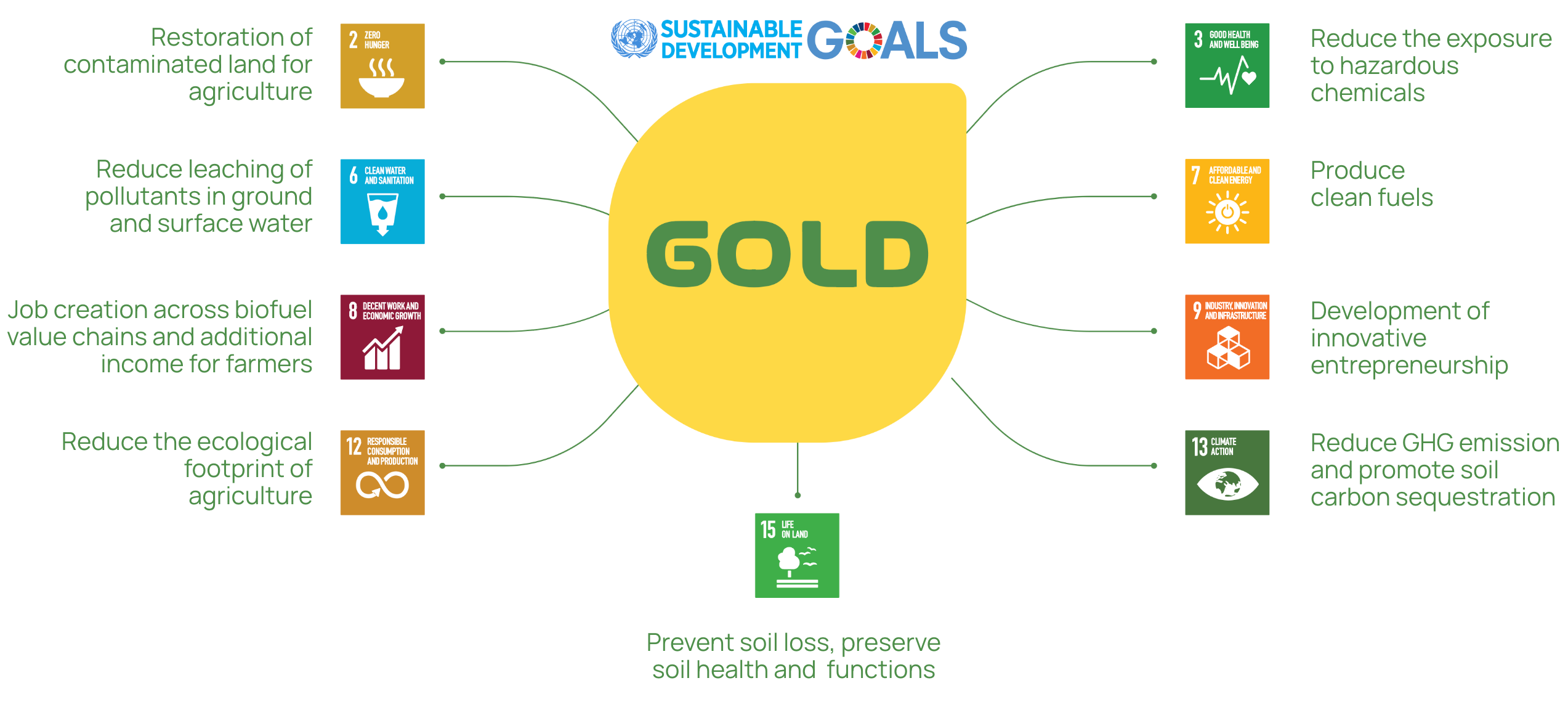 GOLD_HOME_SDG_infographic_DEF